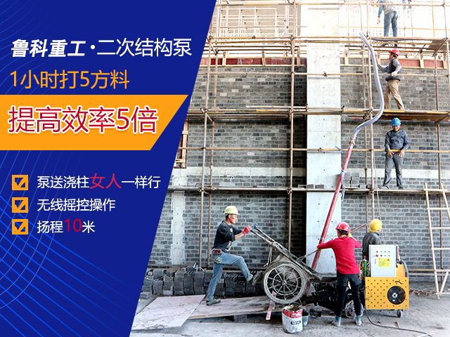 室內(nèi)二次構(gòu)造柱泵 室內(nèi)二次構(gòu)造柱泵
