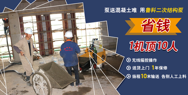 二次構(gòu)造柱泵 二次構(gòu)造柱泵