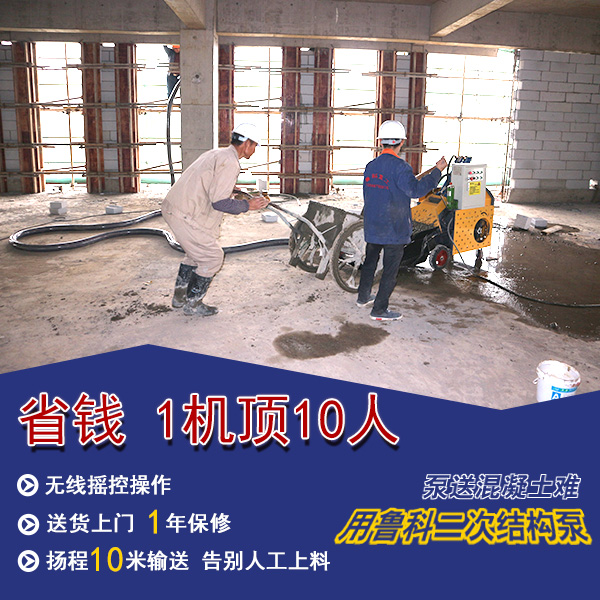 二次構(gòu)造柱泵 二次構(gòu)造柱泵