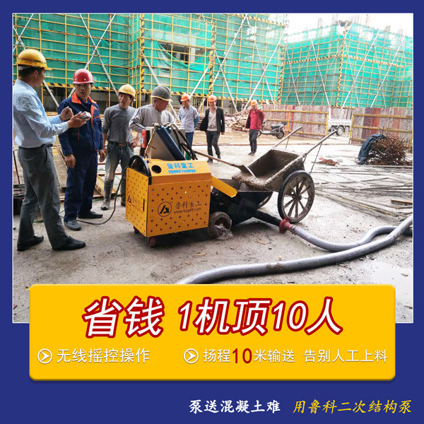 二次構(gòu)造柱用泵 二次構(gòu)造柱用泵