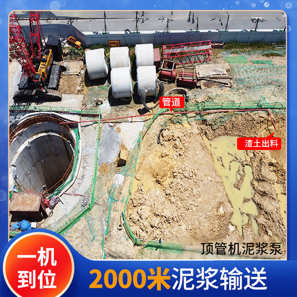 頂管泵 頂管泵