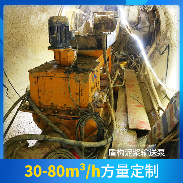 盾構(gòu)機(jī)專(zhuān)用泵 盾構(gòu)機(jī)專(zhuān)用泵