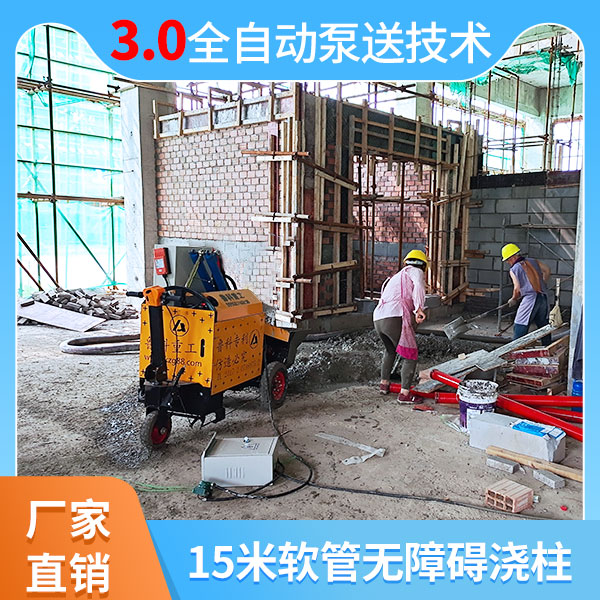 大顆粒二次結(jié)構(gòu)柱輸送泵價(jià)錢(qián) 大顆粒二次結(jié)構(gòu)柱輸送泵價(jià)錢(qián)