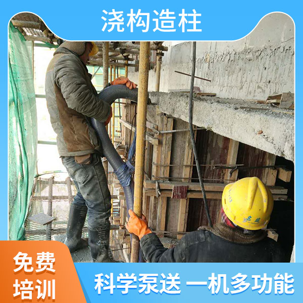 泡沫建房二次結(jié)構(gòu)輸送泵廠家 泡沫建房二次結(jié)構(gòu)輸送泵廠家