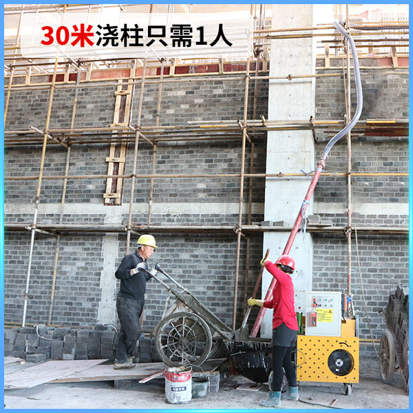 構(gòu)造柱輸送泵價格 構(gòu)造柱輸送泵價格