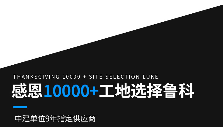 二次構(gòu)造柱泵 二次構(gòu)造柱泵